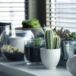 donice ceramiczne